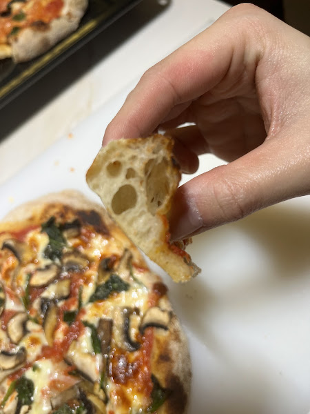 TomatoPapi Funghi e Spinaci pizza crust cross-section showing airy dough